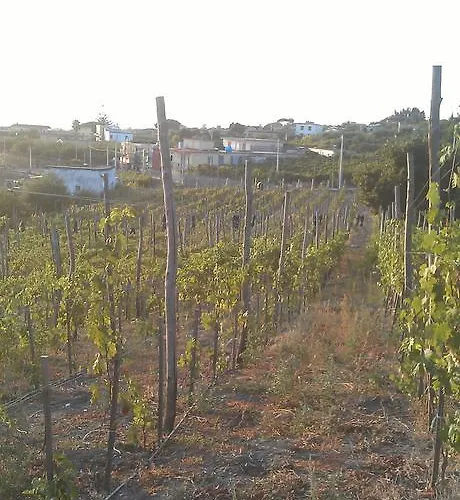 Fuocomuorto Ercolano