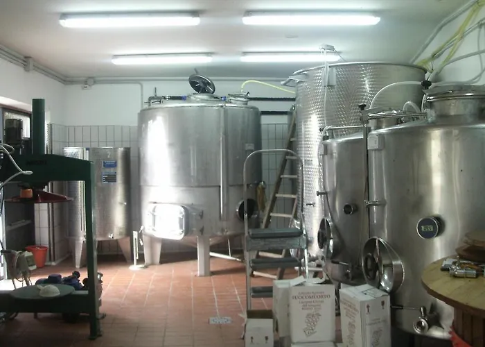 Fuocomuorto Ercolano