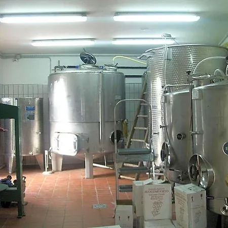 Fuocomuorto Ercolano