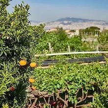 Bed & Breakfast Fuocomuorto *