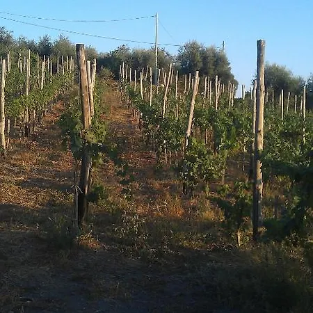 Bed & Breakfast Fuocomuorto