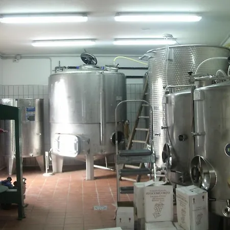 Fuocomuorto Ercolano